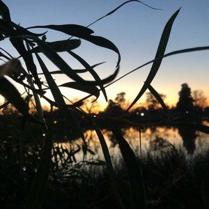 Meet your Posher, Oliver